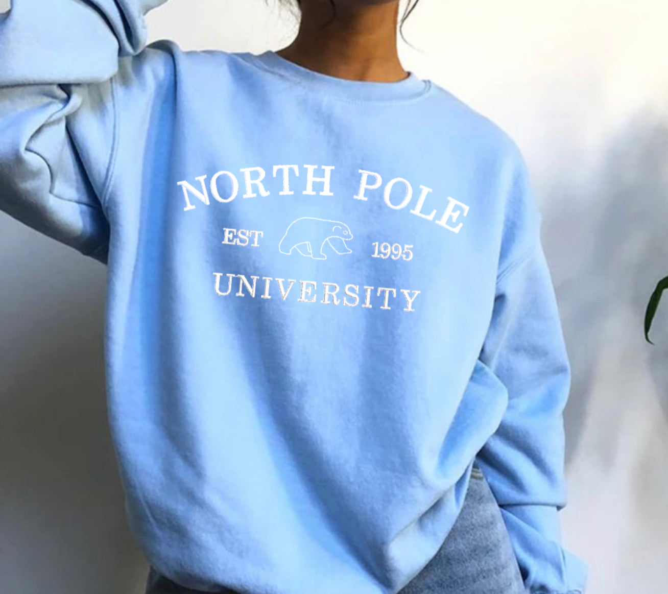 North Pole University Blue Embroidered Sweatshirt